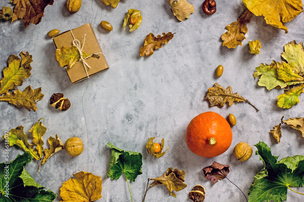 Autumn background composition flat lay with fruits, knitted scarf, acorns, fallen leaves and cones Autumn background composition flat lay with fruits, knitted scarf, acorns, fallen leaves and cones