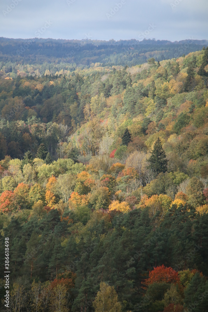 Autumn in the Gauja National Park in Latvia, Baltic States, Europe Autumn in the Gauja National Park in Latvia, Baltic States, Europe