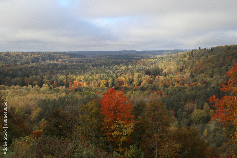 Autumn in the Gauja National Park in Latvia, Baltic States, Europe Autumn in the Gauja National Park in Latvia, Baltic States, Europe