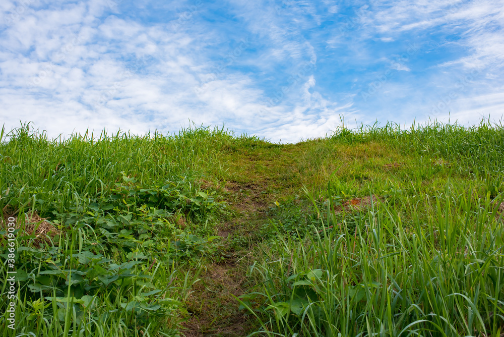 Obraz premium morning blue sky and green meadow