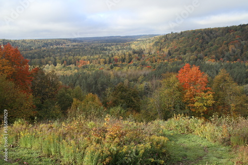 Autumn in the Gauja National Park in Latvia  Baltic States  Europe