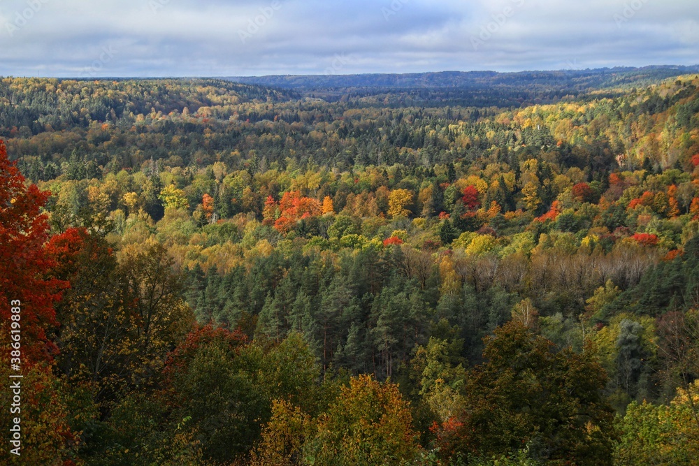 Autumn in the Gauja National Park in Latvia, Baltic States, Europe Autumn in the Gauja National Park in Latvia, Baltic States, Europe