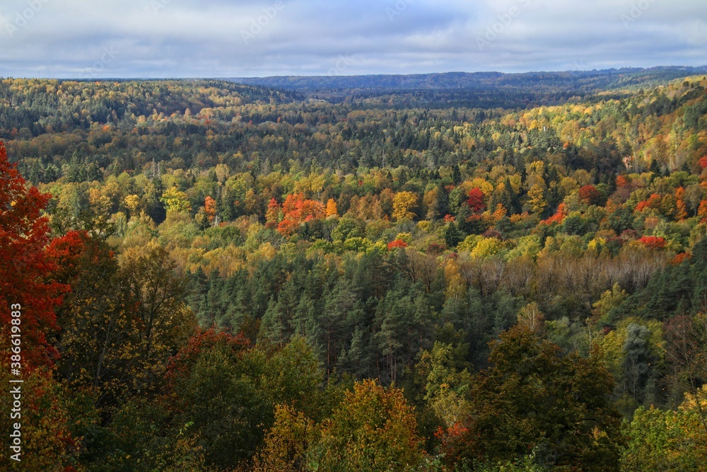 Autumn in the Gauja National Park in Latvia, Baltic States, Europe