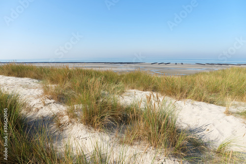 Sand dune of Quend beach in the bay of Somme