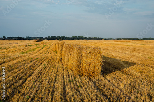 Farmers remove straw bales from the field in summer