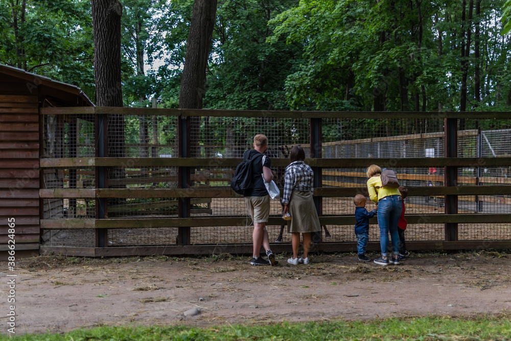 family vacation, people adults children in colored clothes stand near cage with deer animals in a forest zoo, back view