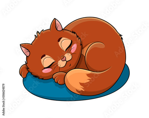 Adorable little brown cartoon cat asleep on a cushion or kitty bed with serene expression isolated on white, colored cartoon vector illustration