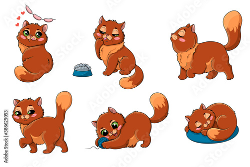 Set of six labels or stickers of a cute brown fat cat or kitten with large green eyes at various activities isolated on white, colored cartoon vector illustration