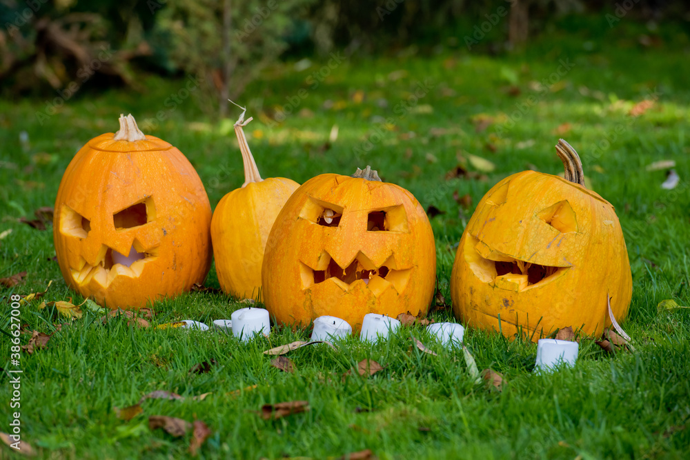 Many pumpkins Jack lantern on green grass for Halloween party. Selective focus. Many pumpkins Jack lantern on green grass for Halloween party. Selective focus.