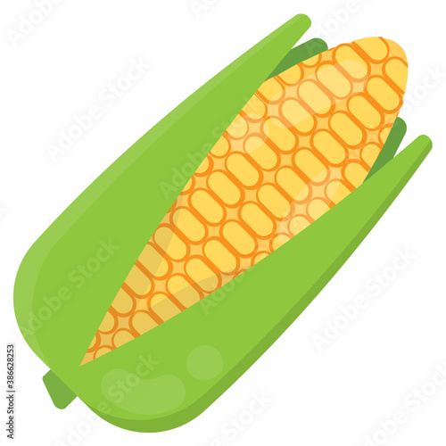 
A corn on the cob ready to come out of its leafy shell, this is fresh corn icon
