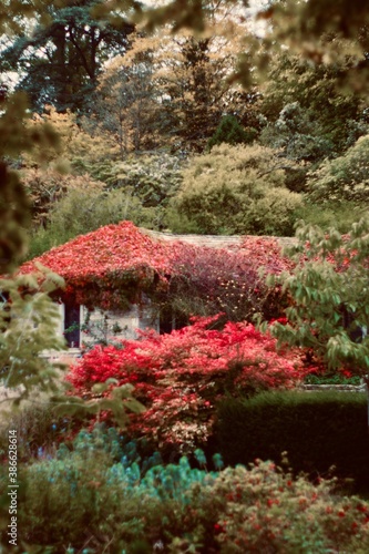 japanese style puclic park in autumn photo