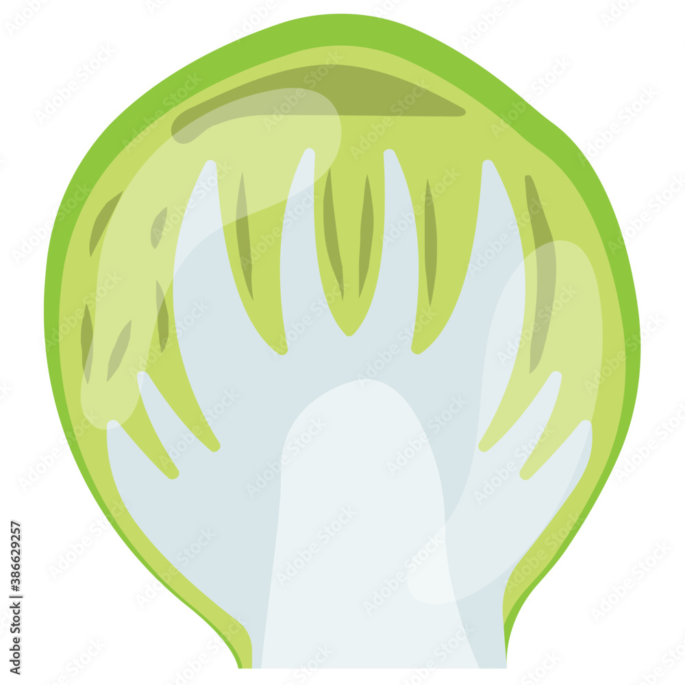 A greenish vegetable in berg shape mainly used for salad preparation and cooking also
A greenish vegetable in berg shape mainly used for salad preparation and cooking also