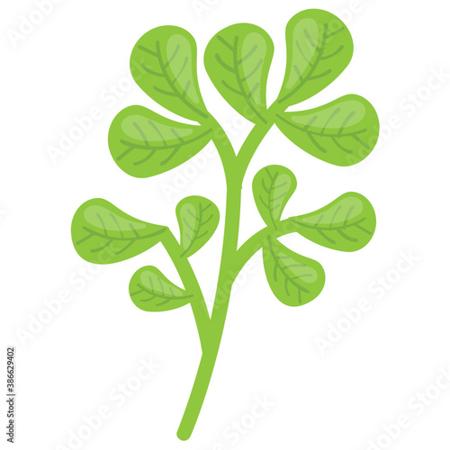 
A soft green nutritious vegetable with slight bitter taste characterizing fenugreek 
