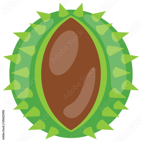 
A tropical round structure fruit and vegetable in green color depicting sugar apple 
 photo