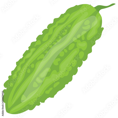 
Fresh green vegetable with bitter taste having seeds inside called bitter gourd 
