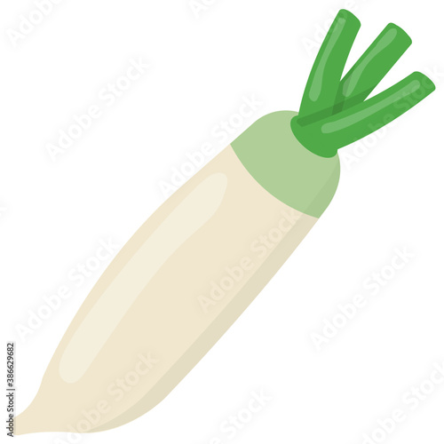 
A crispy long white spice flavour vegetable added in salad ingredient 
