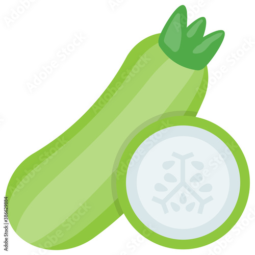 
A young harvested dried long melon used as a vegetable called bottle gourd 
