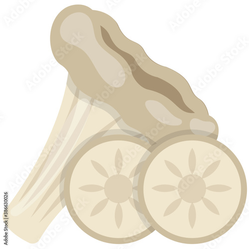 
A flower shaped white colored vegetable, a germen cultivation known as oyster mushroom 
