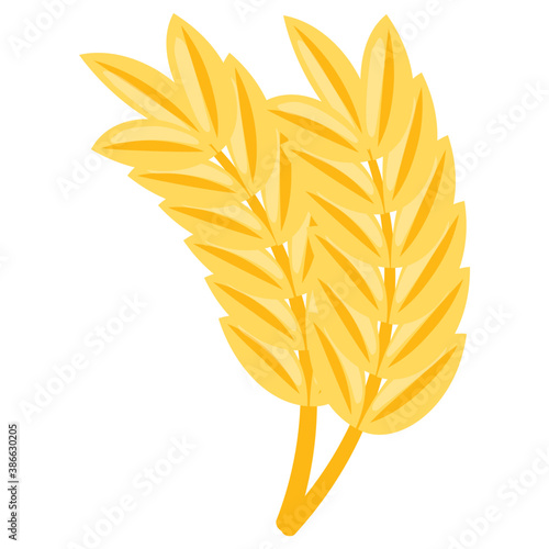 
A cultivated cereal grain used worldwide for food and making dough 
