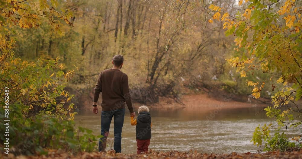 harmony of nature and unity with human, father and little son are viewing wildlife of lake, flying birds, rear view of people harmony of nature and unity with human, father and little son are viewing wildlife of lake, flying birds, rear view of people