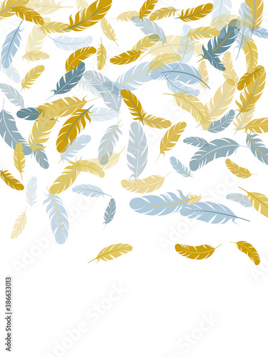 Detailed majestic feather on white design.