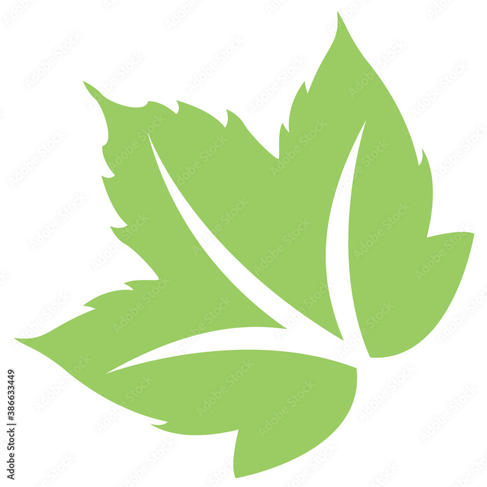 A floral leaf with margin teeths and veins commemorating grapes leaf
A floral leaf with margin teeths and veins commemorating grapes leaf