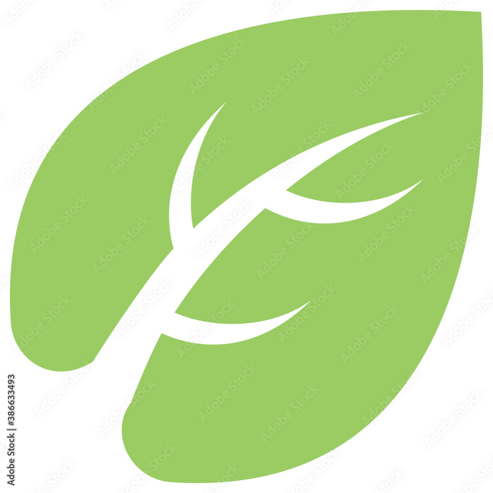 Fototapeta premium A leaf with compound structure is ash leaf 