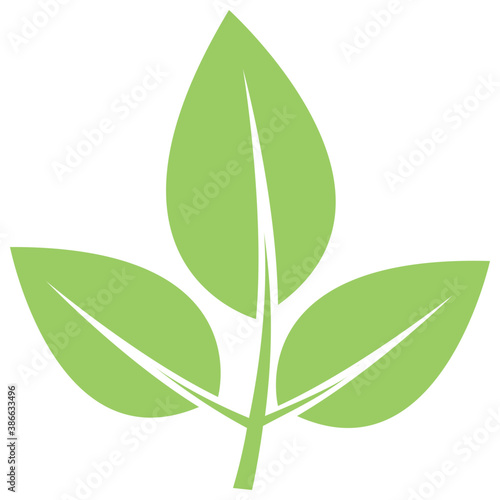 
Three leaves with one clearly visible vein offering elm leave icon
