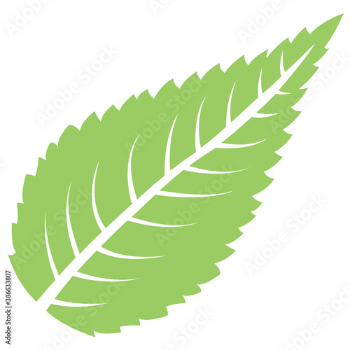  A leaf with compound structure is ash leaf 