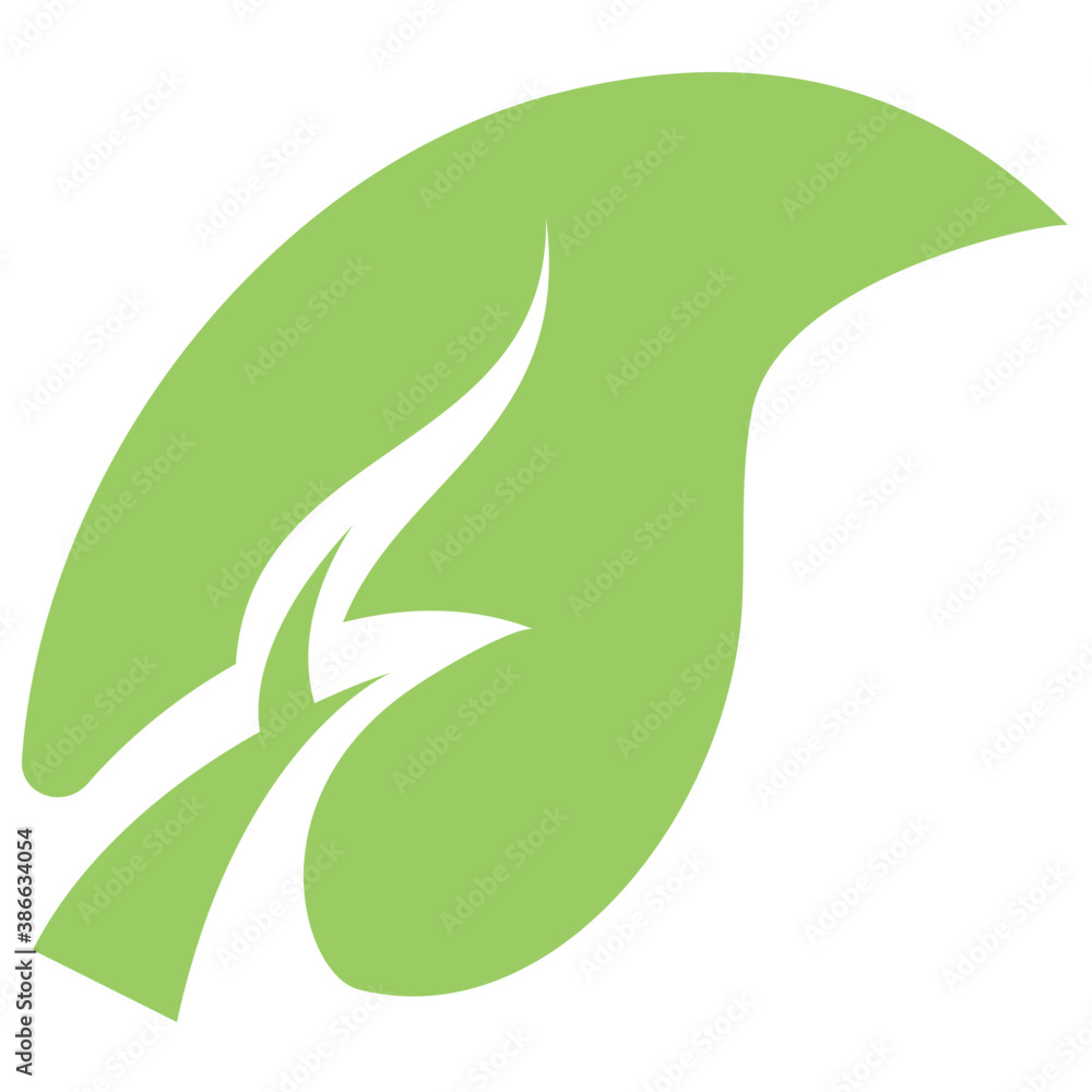 A leaf with compound structure is ash leaf
A leaf with compound structure is ash leaf
