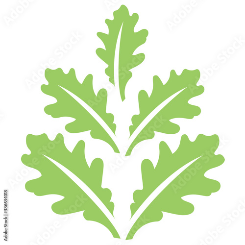  Oak leaves placed decoratively in a structure making symmetry  this is oak leaves design  