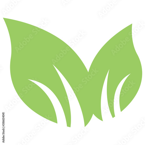  Two common leaves placed together as two components to show bipartite leaf concept   © Vectors Market