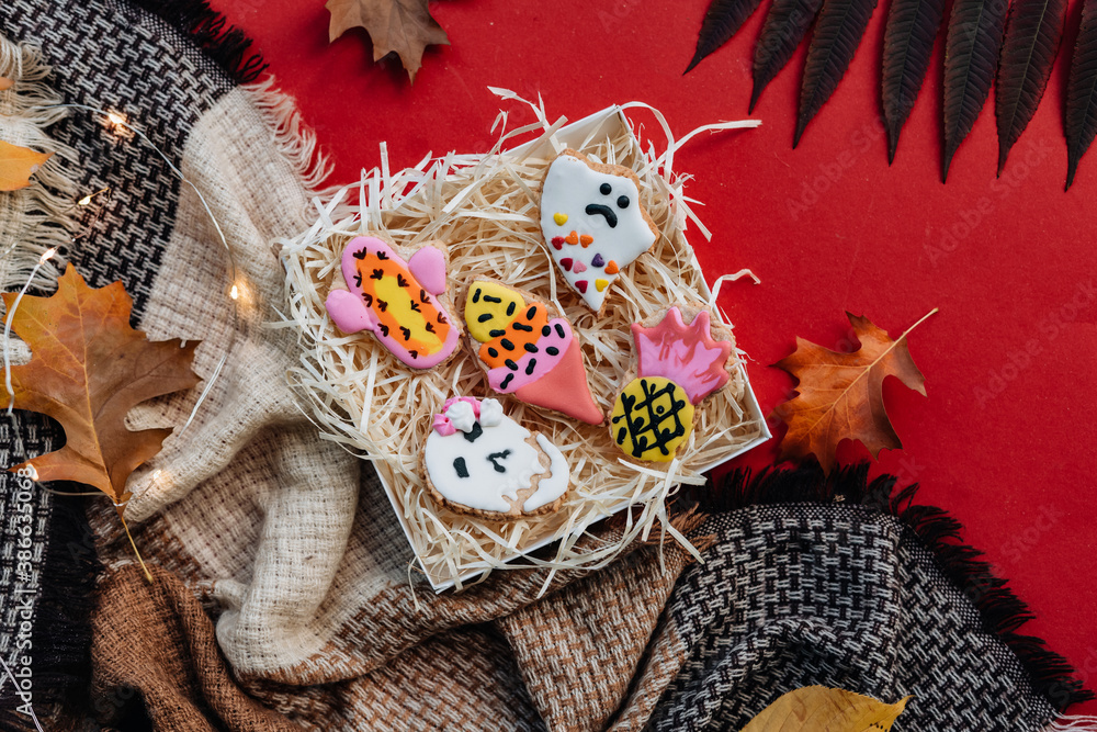 Halloween concept with cookies on colorful background