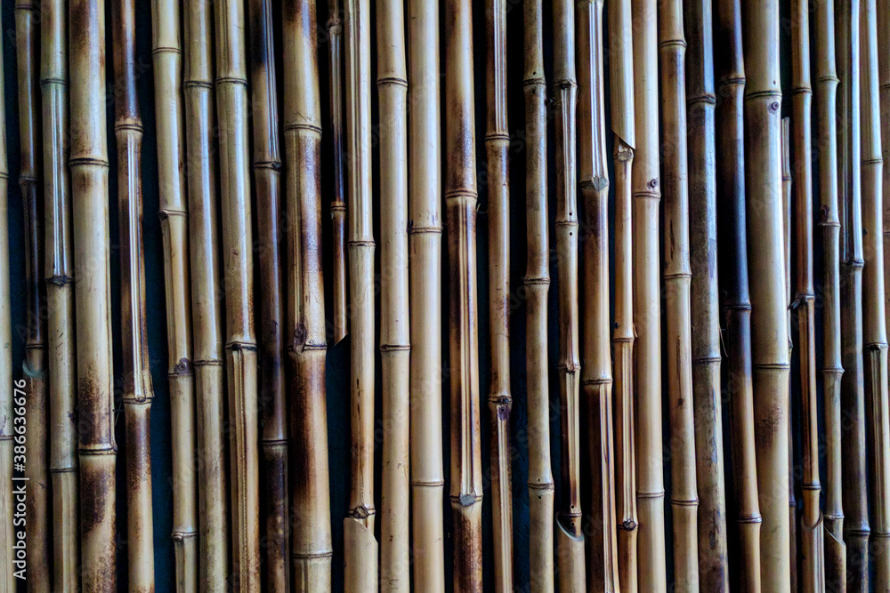 The texture of the bamboo structure in the form of a fence The texture of the bamboo structure in the form of a fence