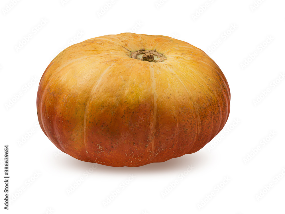 Pumpkin isolated on white background with clipping path Pumpkin isolated on white background with clipping path