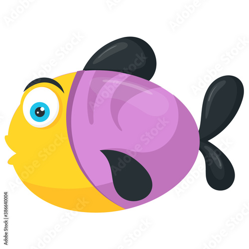 
A multi color singaporean fish lives in freshwater called rainbow fish 

