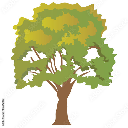 
Chestnut tree, spreading trees flat icon
