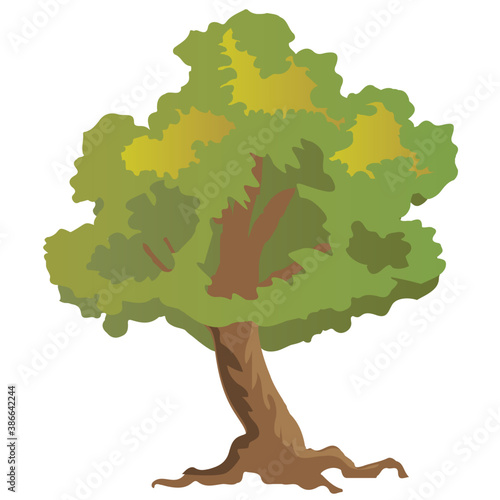
Chestnut tree, spreading trees flat icon
