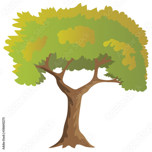 
Chestnut tree, spreading trees flat icon
