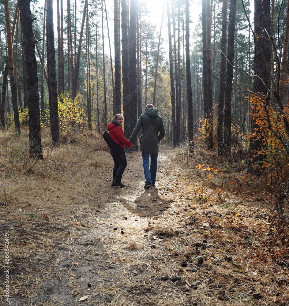 Young people are walking in the autumn forest, holding hands. Autumn leaf fall.