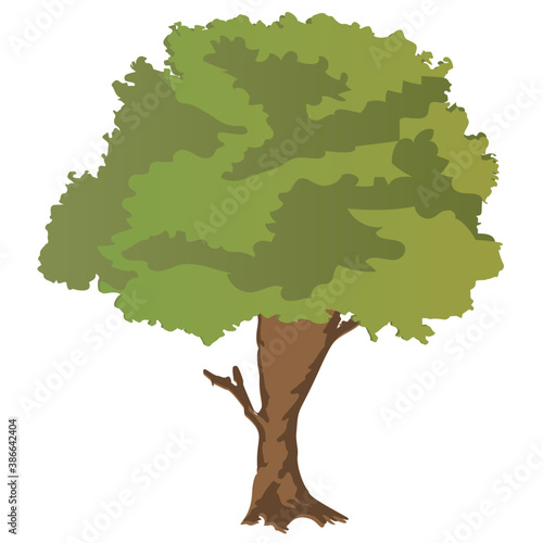 
Chestnut tree, spreading trees flat icon
