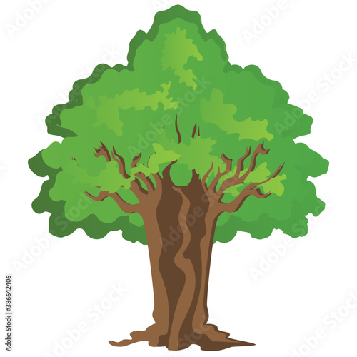 
Chestnut tree, spreading trees flat icon
