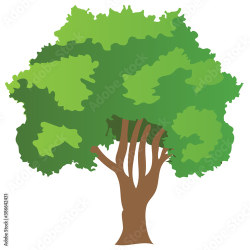 
Chestnut tree, spreading trees flat icon
