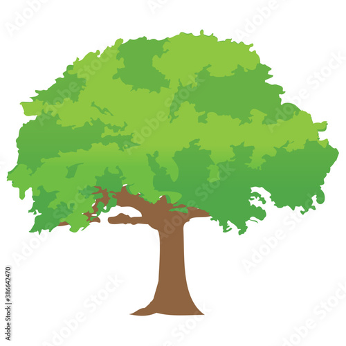 
Chestnut tree, spreading trees flat icon
