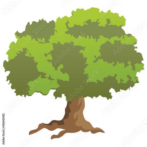 
Chestnut tree, spreading trees flat icon
