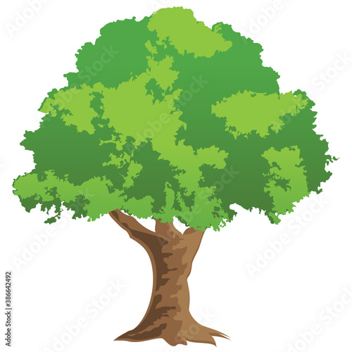 
Chestnut tree, spreading trees flat icon
