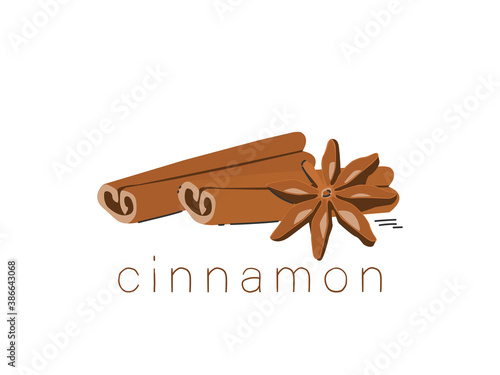 Two cinnamon sticks and star anise. Vector illustration isolated on white background.