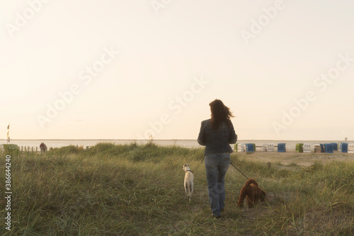 Frau mit Hunden an der Nordsee