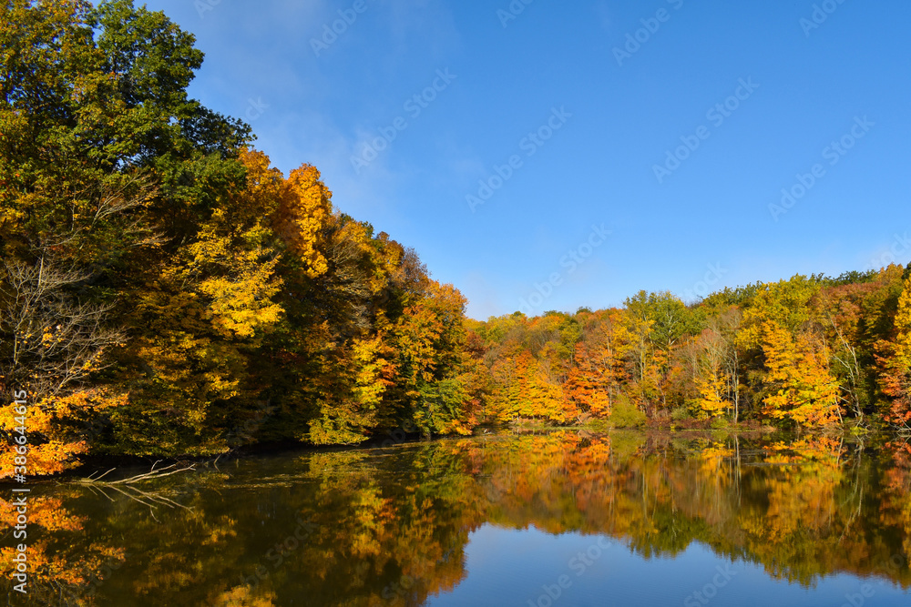 Fall foliage on the lake