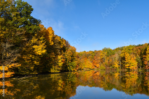 Fall foliage on the lake